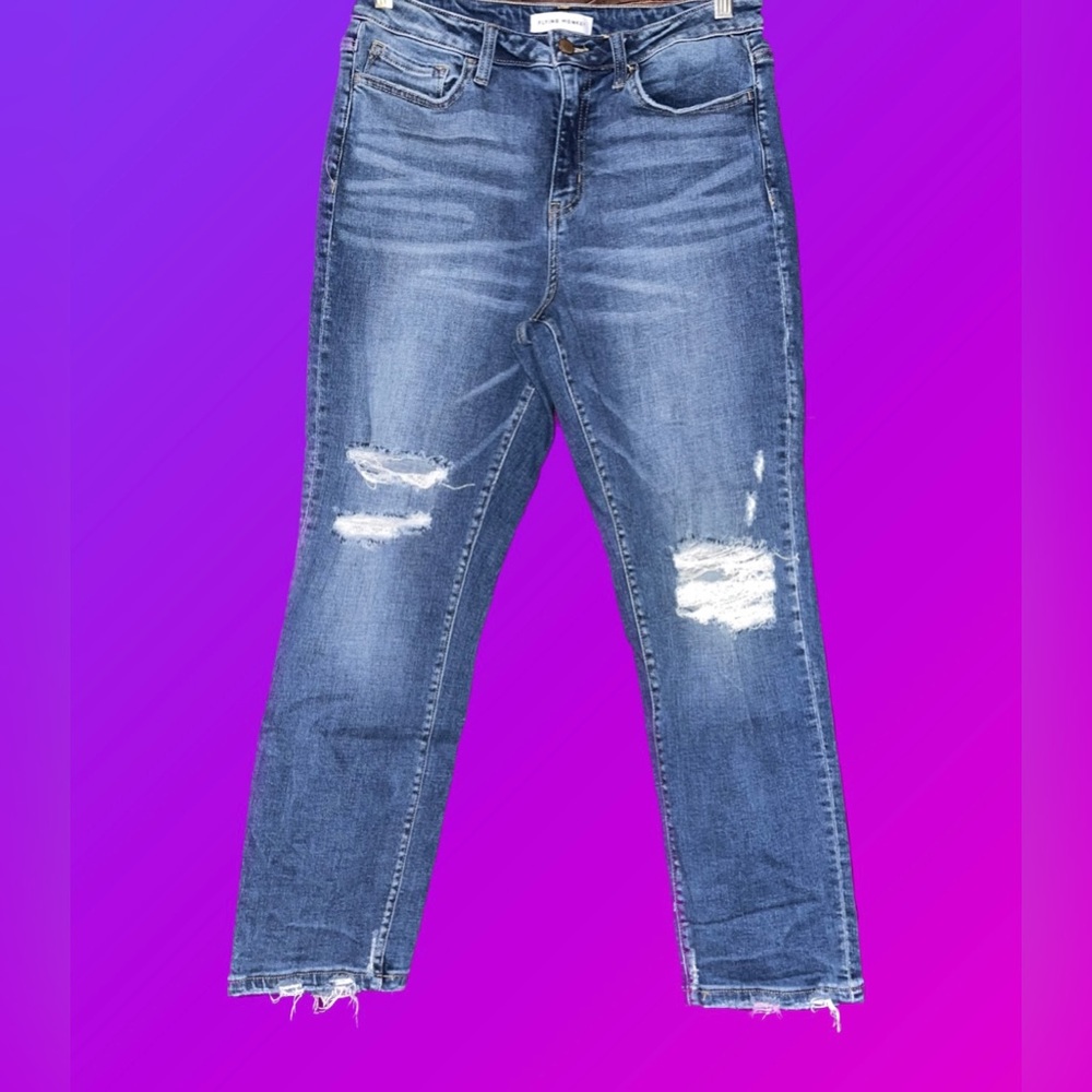 Flying Monkey Skinny Jeans